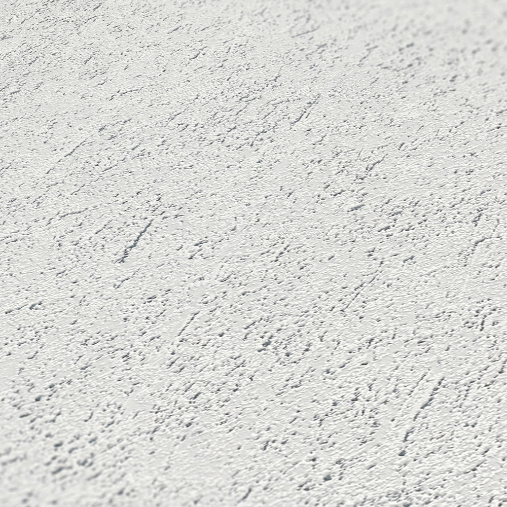             Light roughcast look with texture effect - grey
        