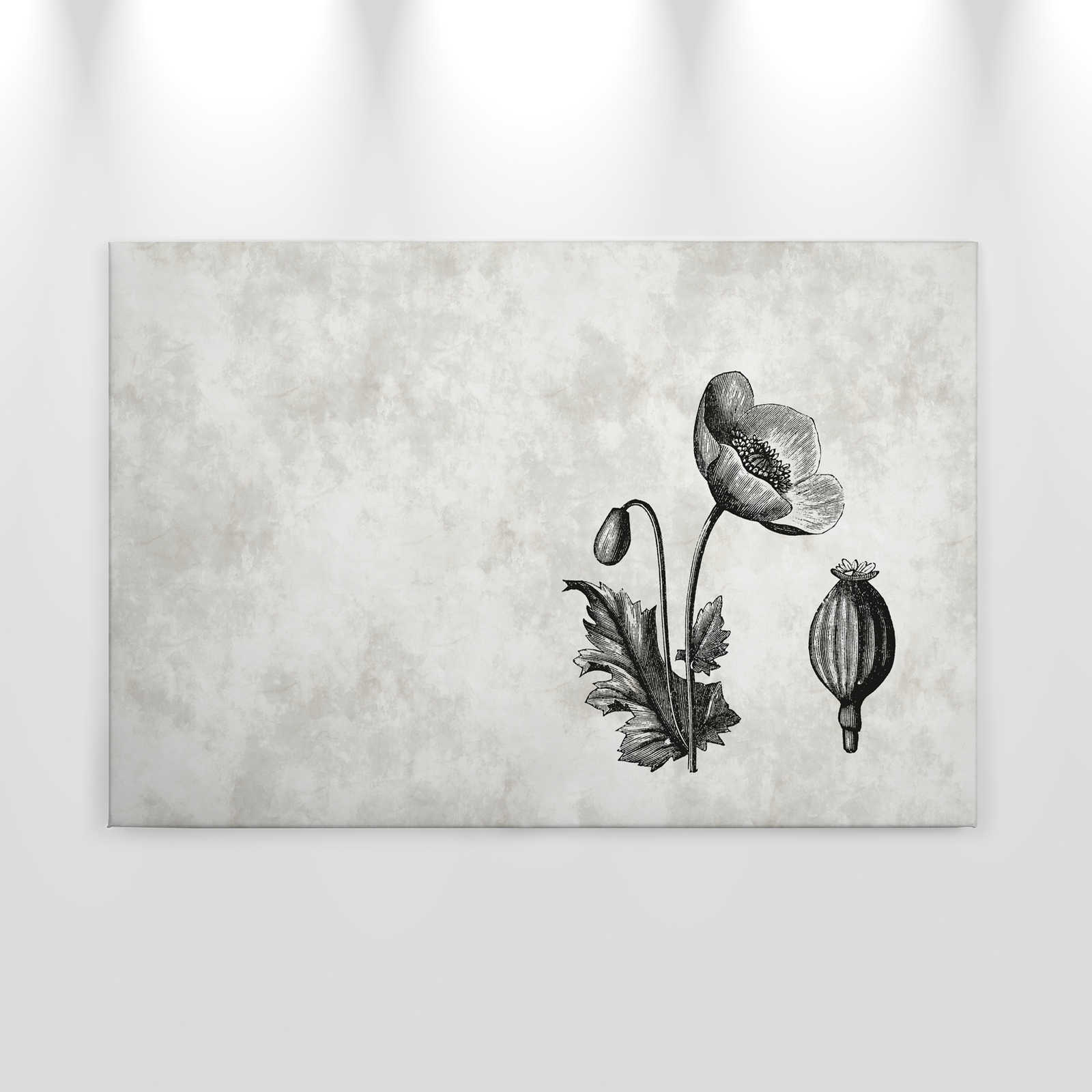             Tela in bianco e nero Poppy Botanical Style - 0,90 m x 0,60 m
        
