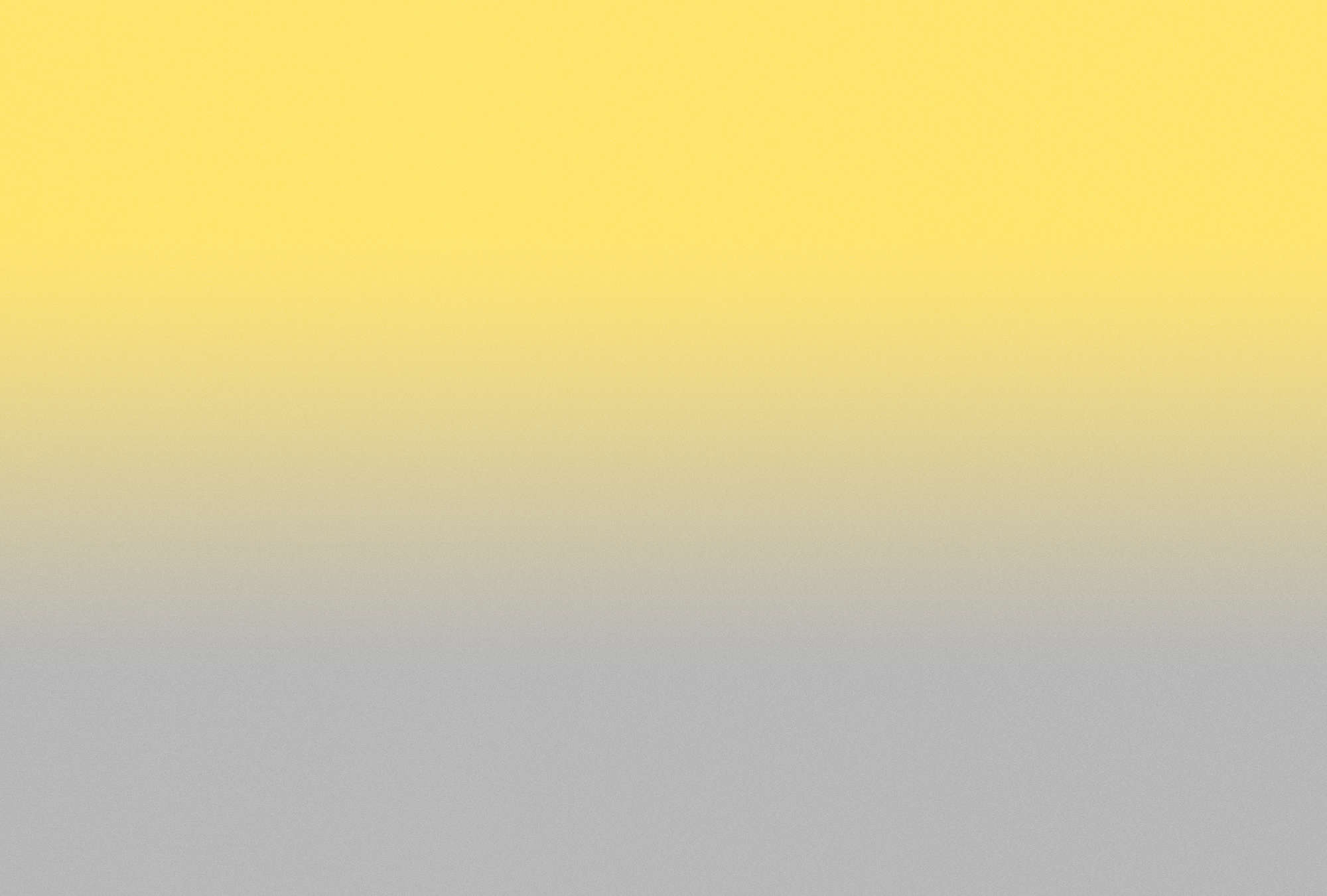             Colour Studio 1 - photo wallpaper yellow & grey trend colours ombre effect
        