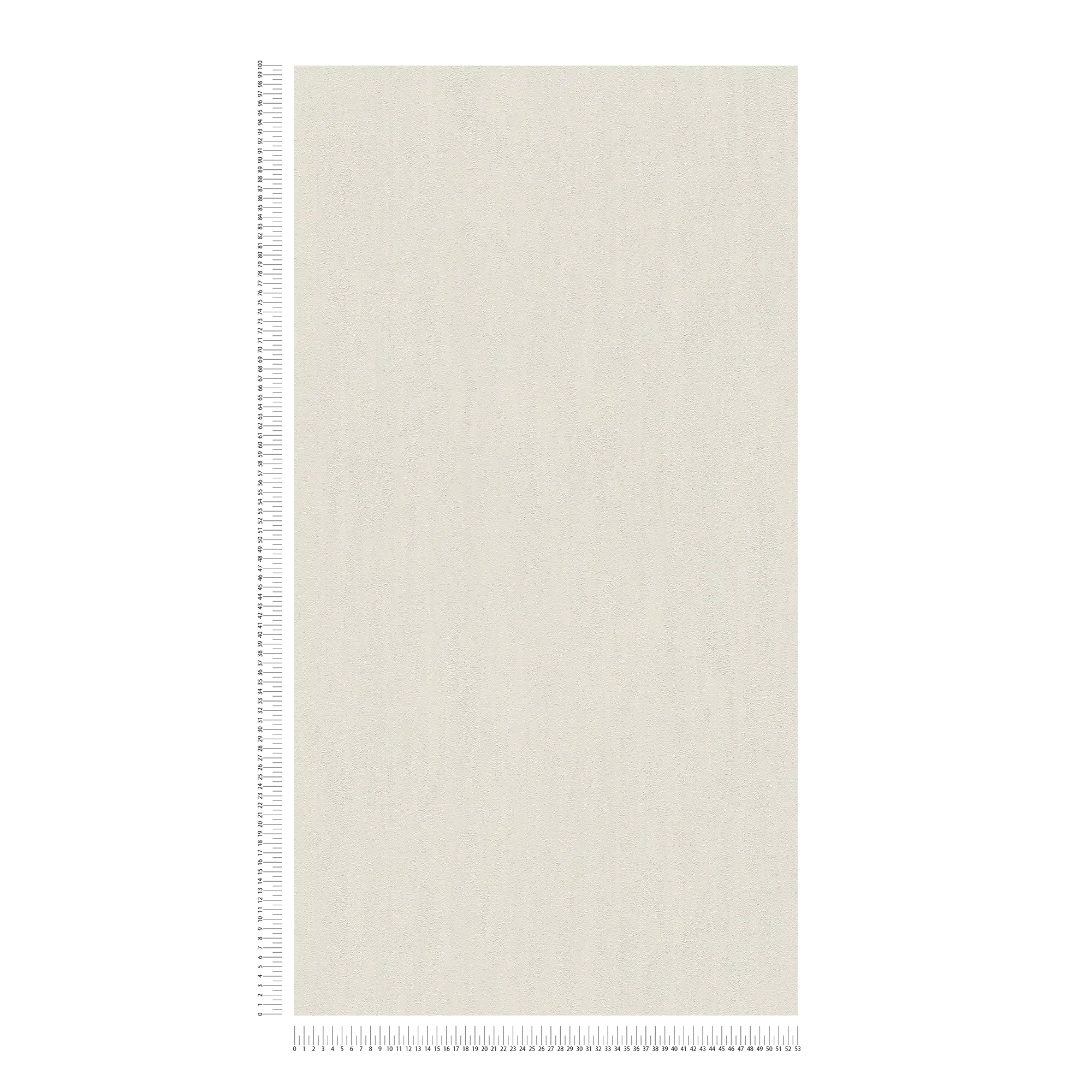             Carta da parati beige chiaro con struttura a rilievo naturale in look gesso
        