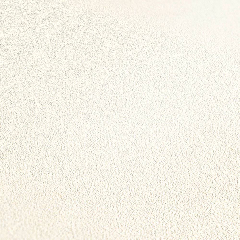             Carta da parati verniciabile in tessuto non tessuto con struttura liscia - larghezza 106 cm
        
