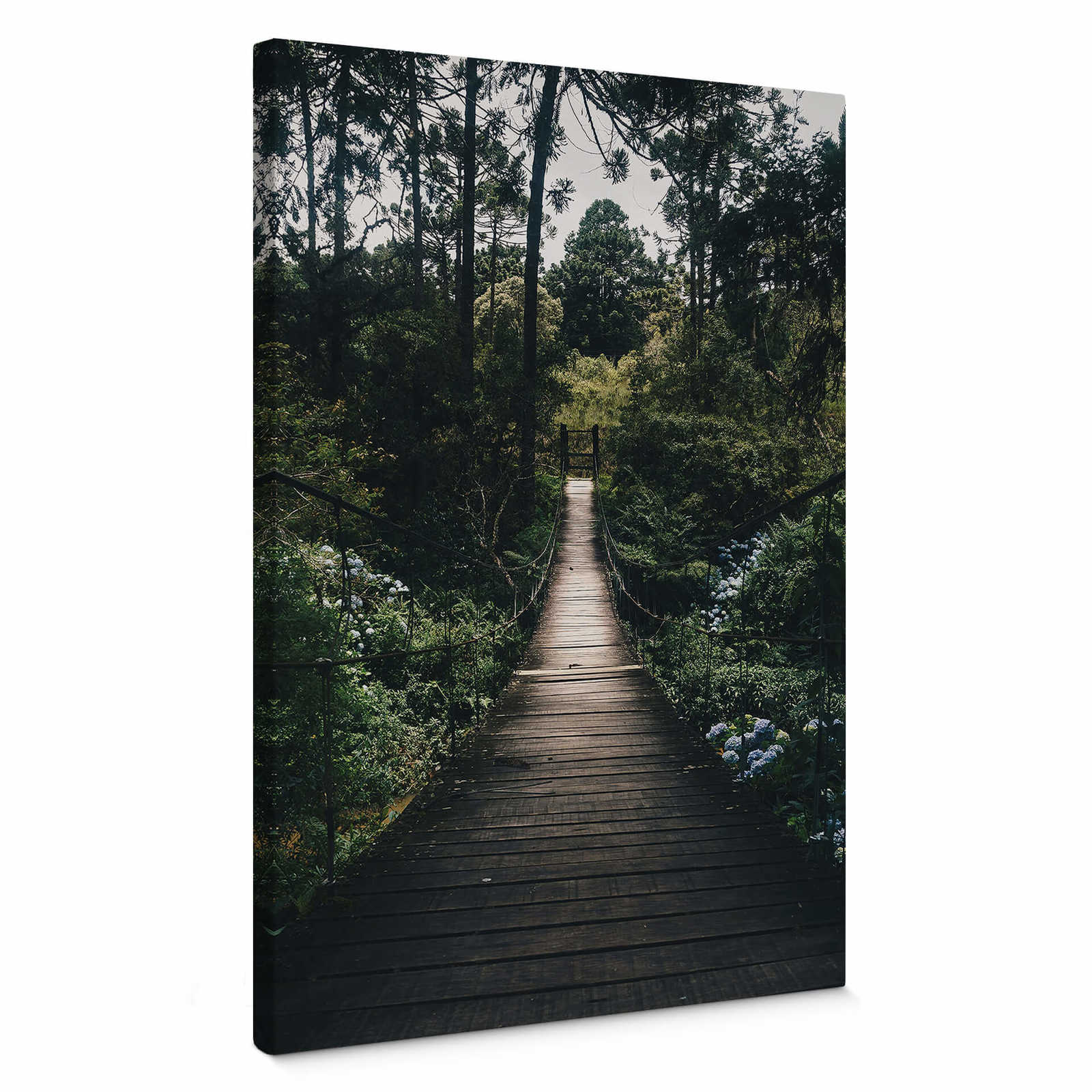        Canvas print suspension bridge in the forest – green
    