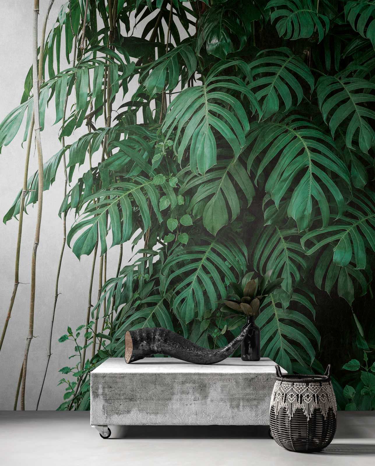             Behang-Nieuw Monstera behang 3D motief jungle groen
        