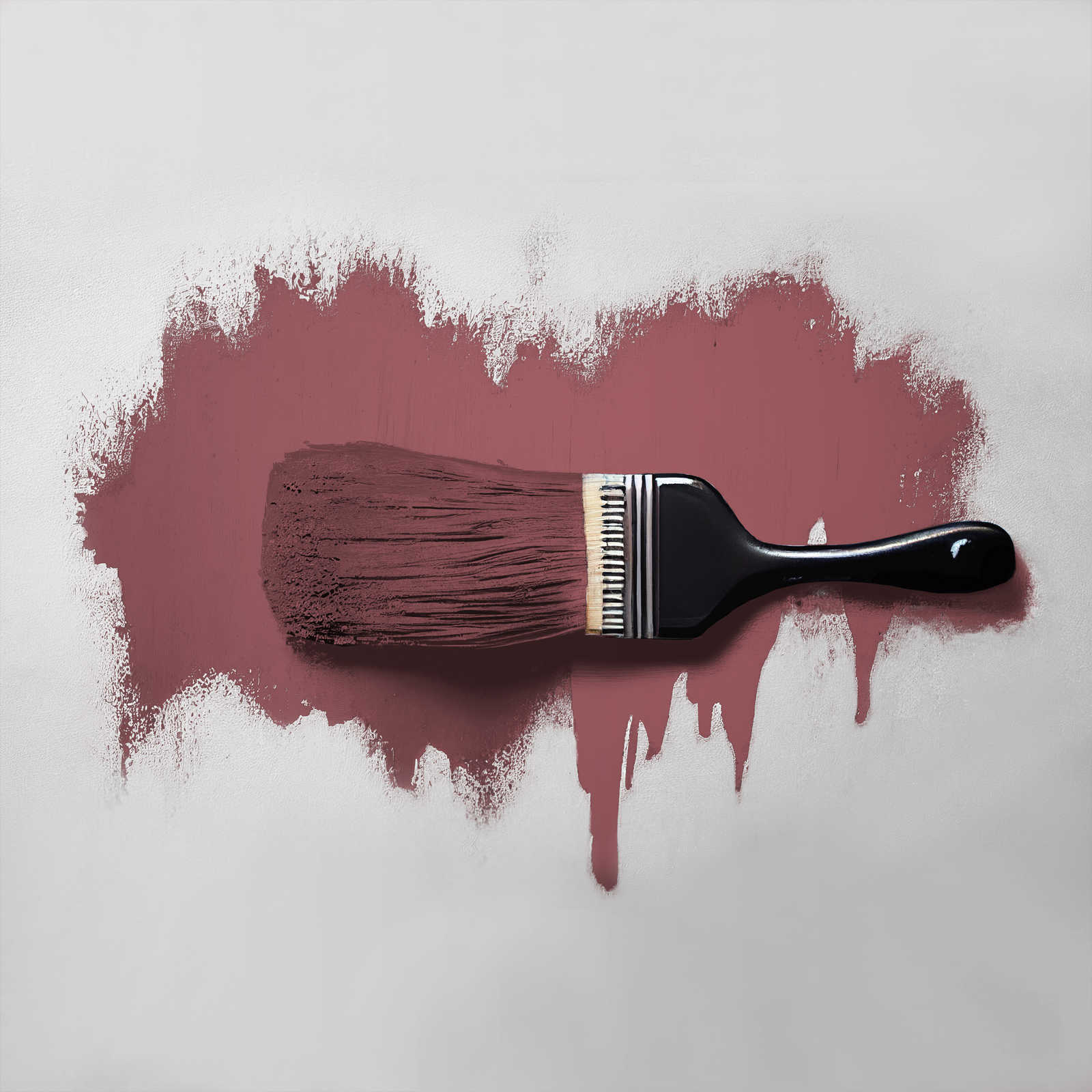             Pittura murale TCK7012 »Sweet Marmelade« in autentica tonalità berry – 2,5 litri
        