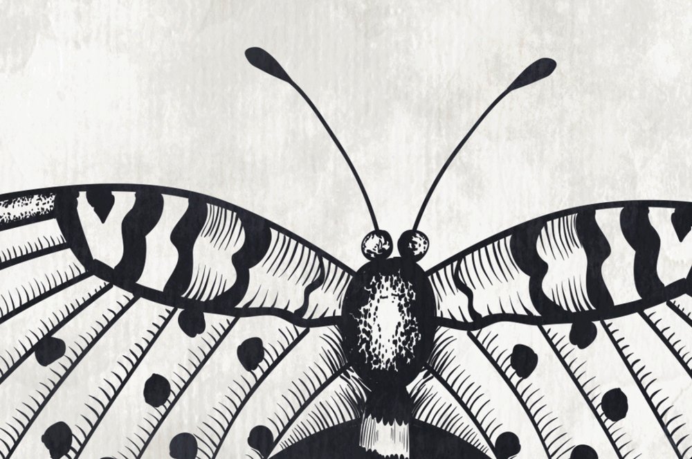             Butterfly mural black and white drawings
        