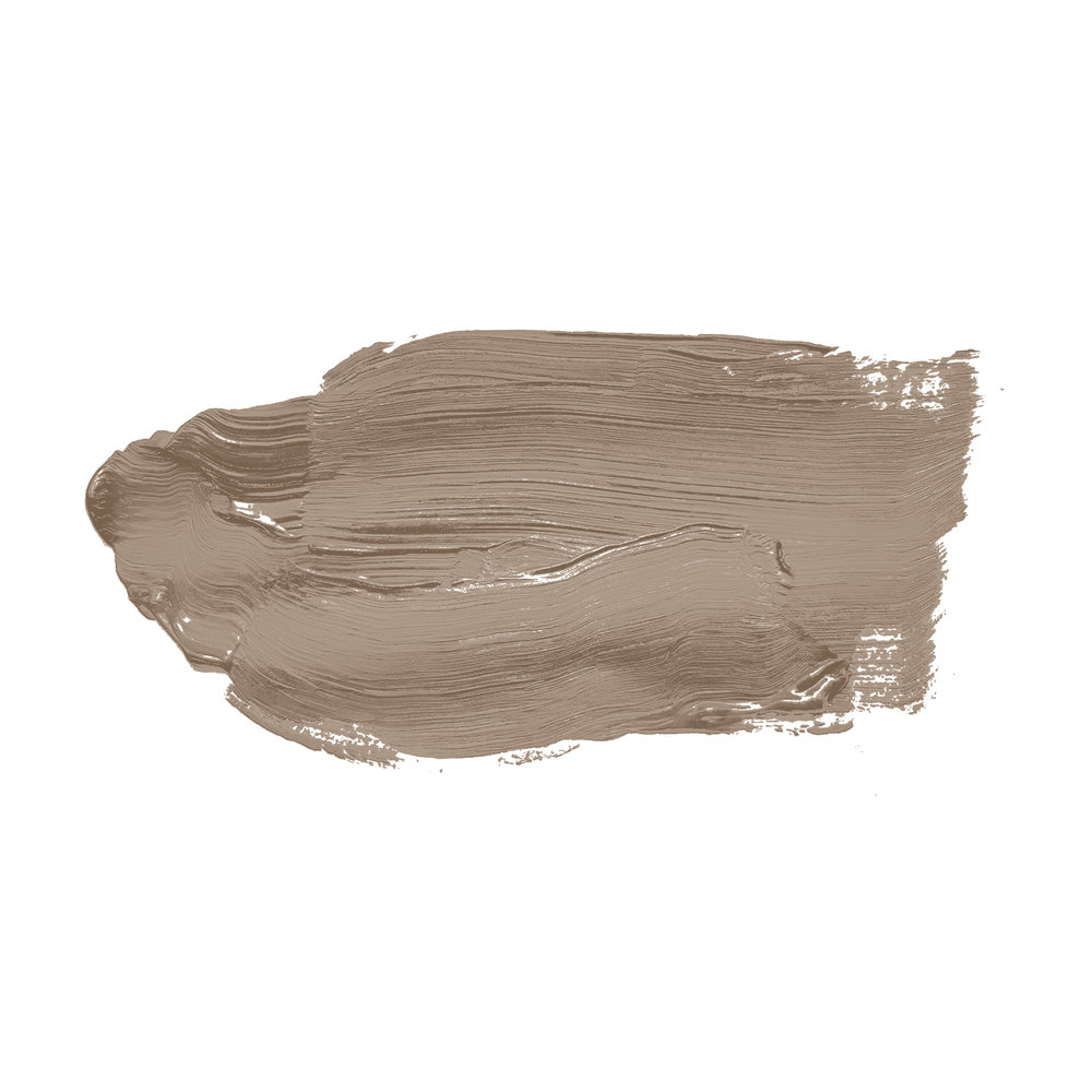             Wall Paint TCK6012 »Dynamic Date« in homely taupe – 2.5 litre
        
