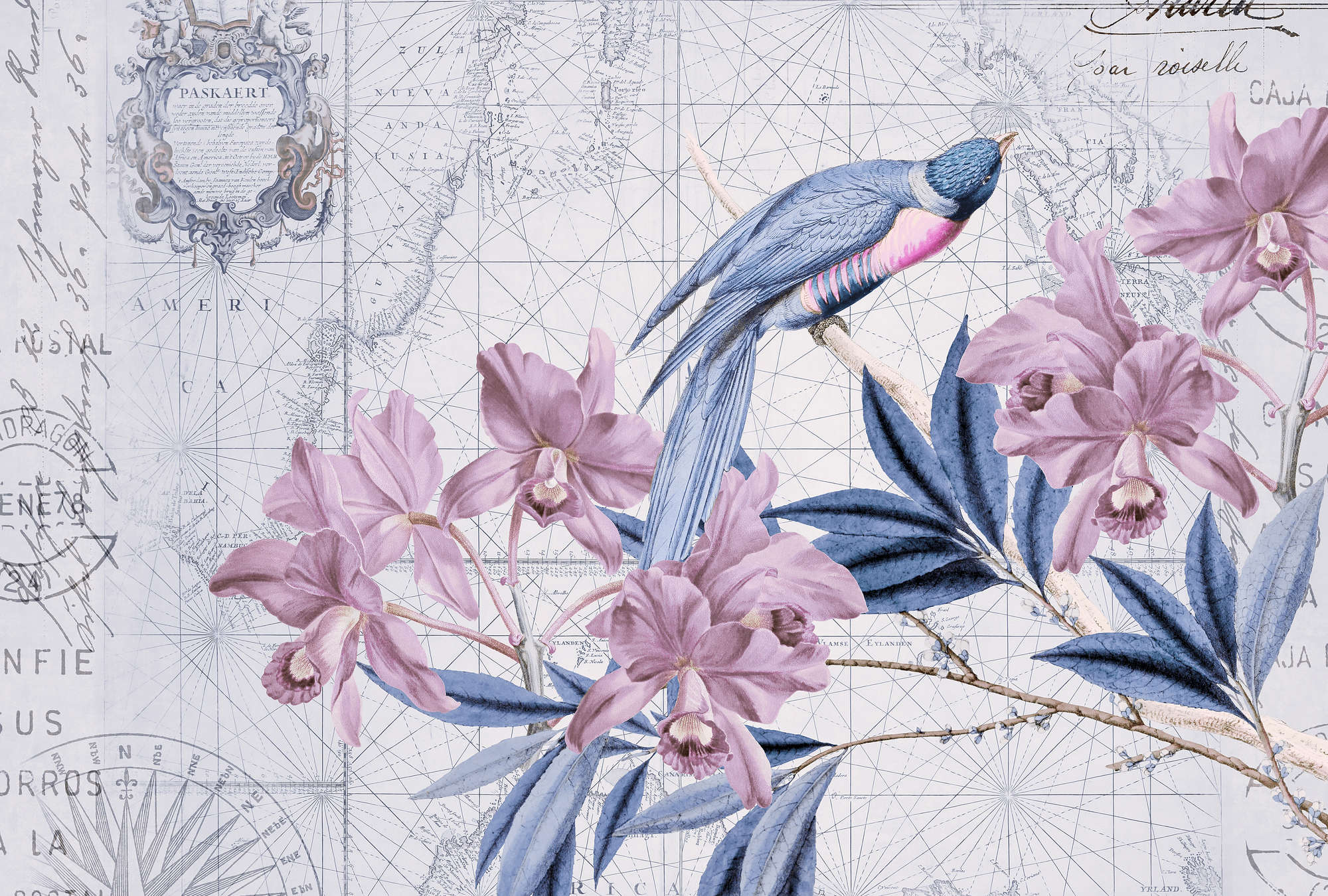             Papier peint décoratif vintage avec motif de carte géographique et de nature
        