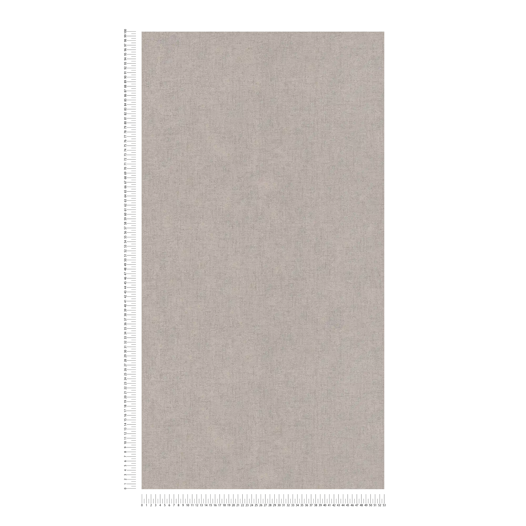             Plain wallpaper dove grey with texture details - grey
        
