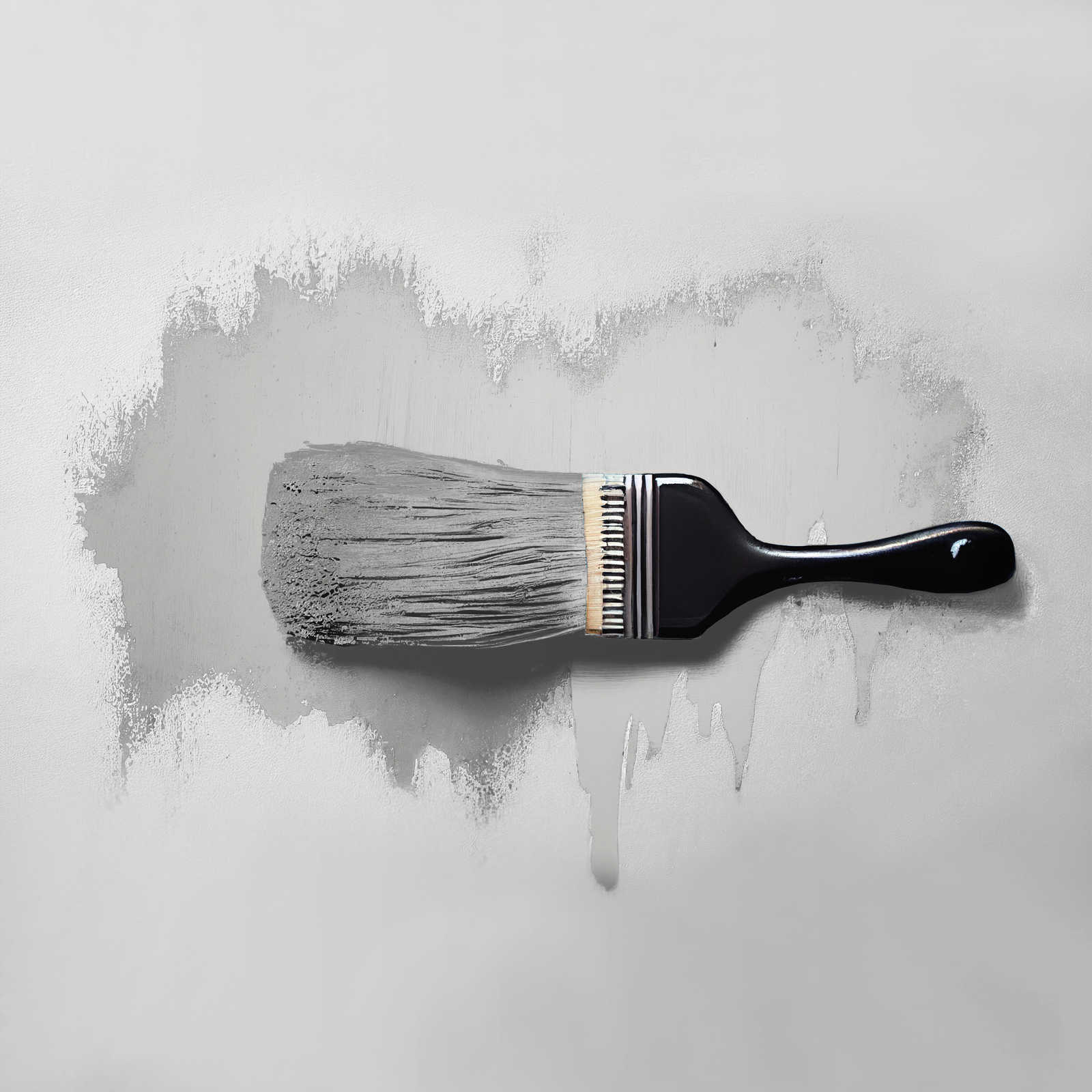             Pittura murale TCK1009 »Sprat Fish« in tinta unita grigio argento – 2,5 litri
        