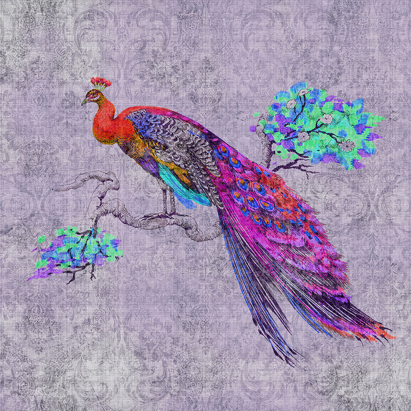 Peacock 3 - Bont pauwenbehang - Natuurlijke linnenstructuur - Blauw, Roze | Matte gladde vliesstof
