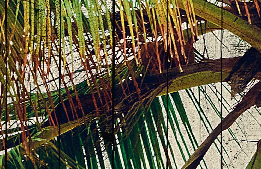             Tahiti 3 - Palmbehang met vakantiegevoel - houtpaneelstructuur - beige, blauw | parelglad vlies
        