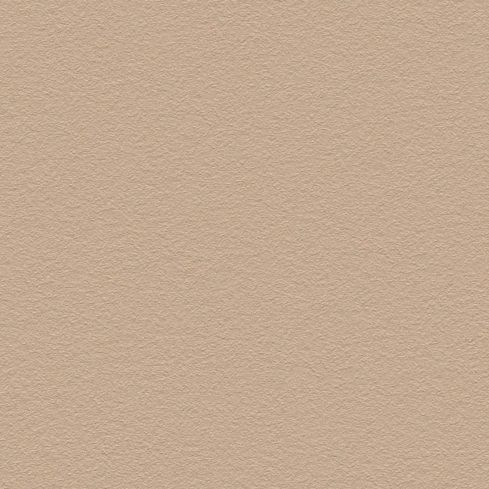             Papel pintado liso marrón claro con superficie lisa - beige, marrón
        