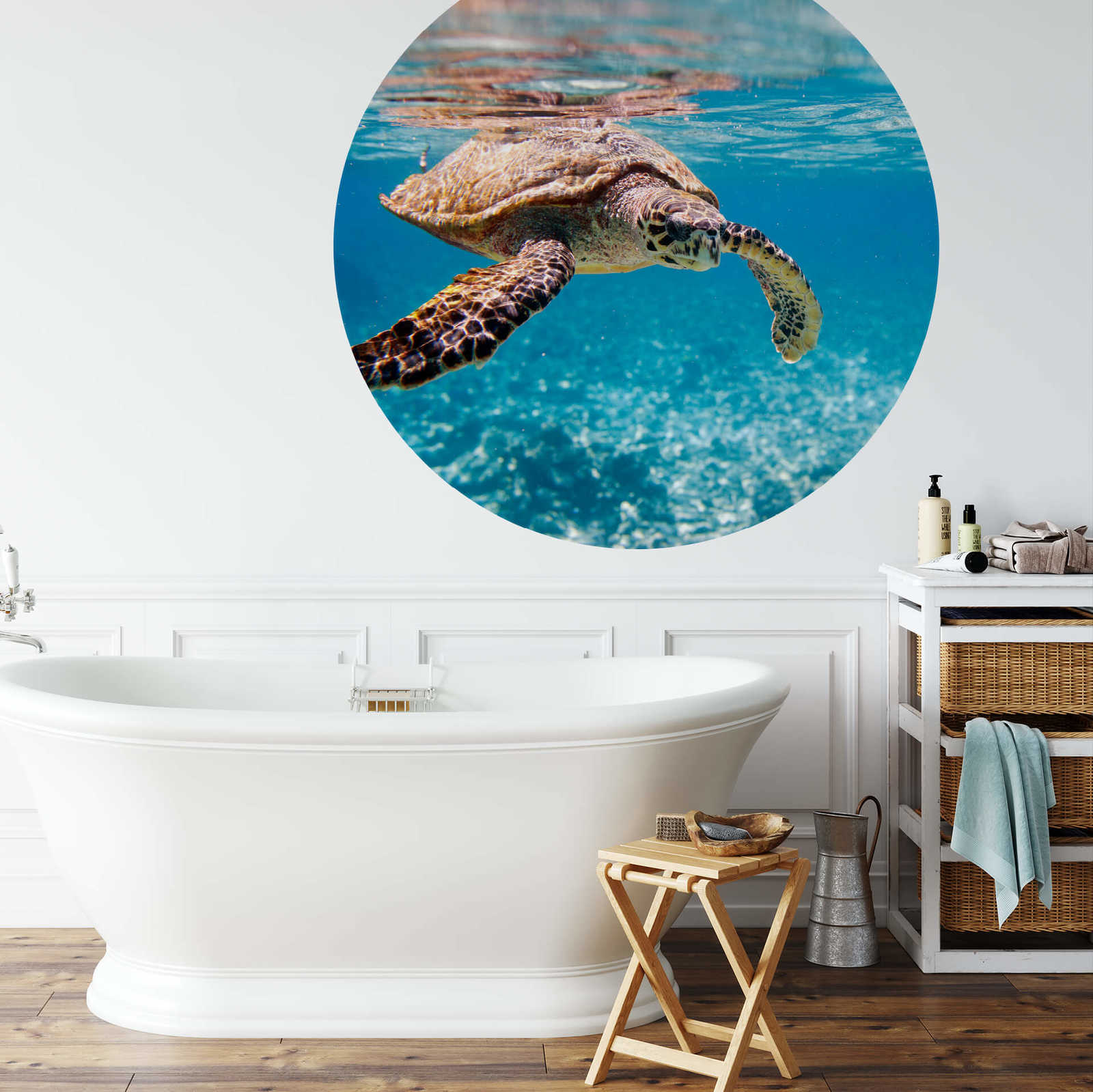             Mural redondo de tortuga bajo el agua
        