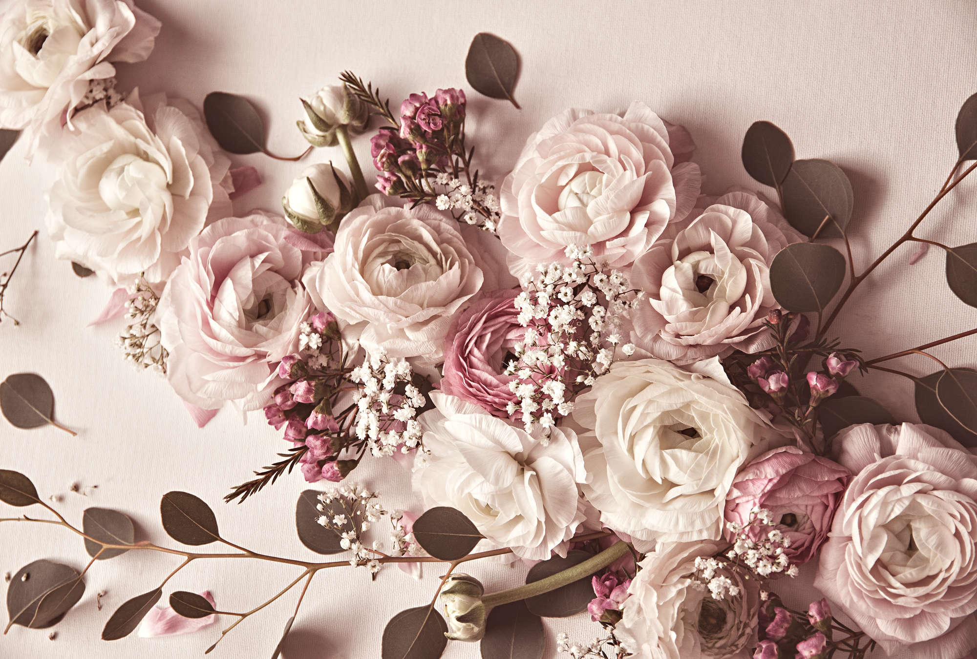             Papel pintado de rosas con joyas de flores XXL
        