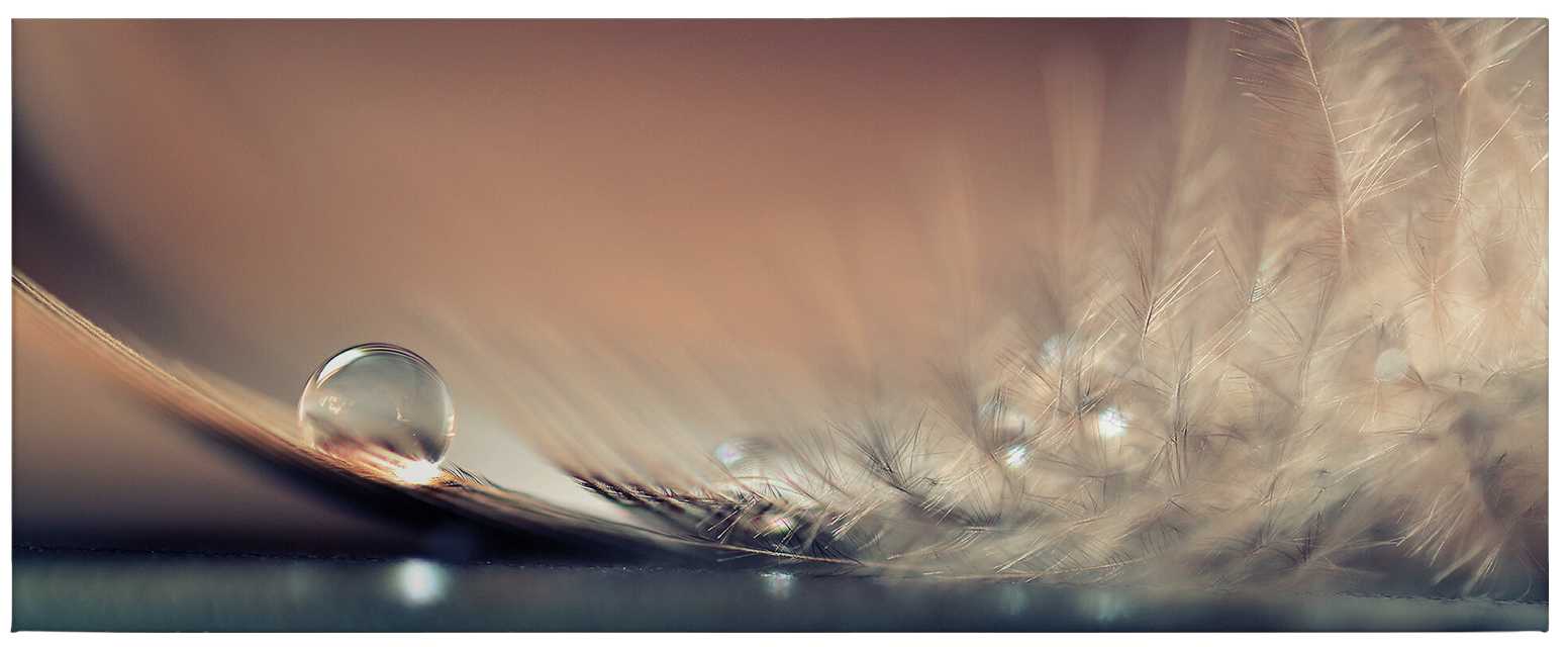             Cuadro en lienzo Panorama Gotas de agua y pluma de Dmitry - 1,00 m x 0,40 m
        