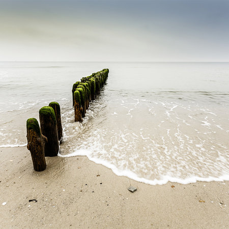 Photo wallpaper breakwater - wooden piles in the sea

