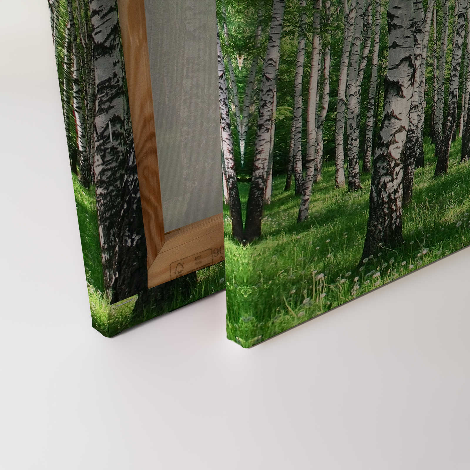             Landscape canvas picture Birch Forest with Meadow - 1,20 m x 0,80 m
        