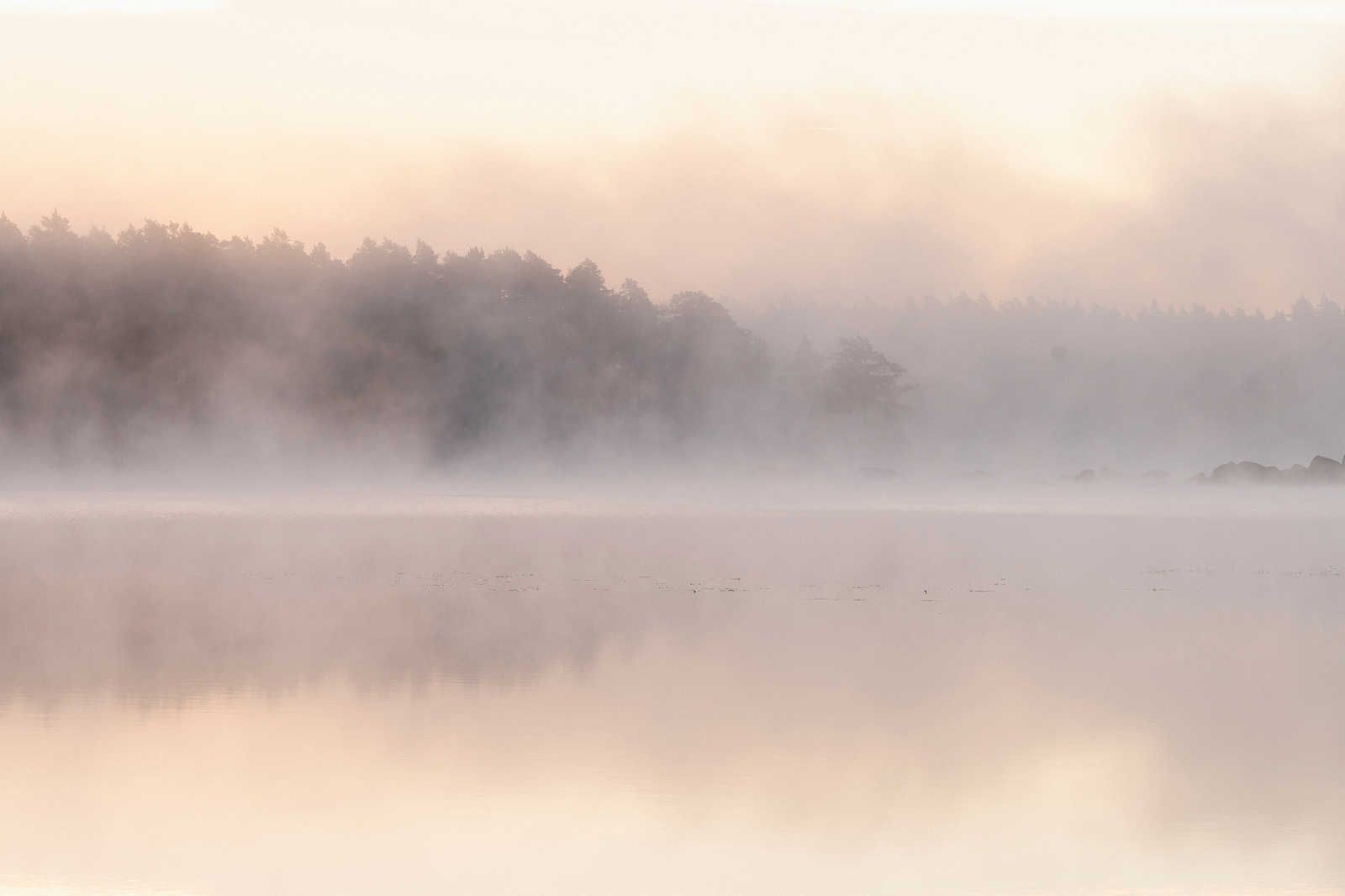             Avalon 2 - Lienzo Lago por la mañana con bruma matinal - 0,90 m x 0,60 m
        