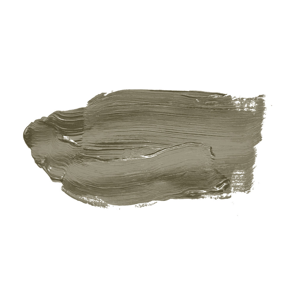             Wall Paint TCK4013 »Ordinary Olive« in intensive olive tone – 2.5 litre
        