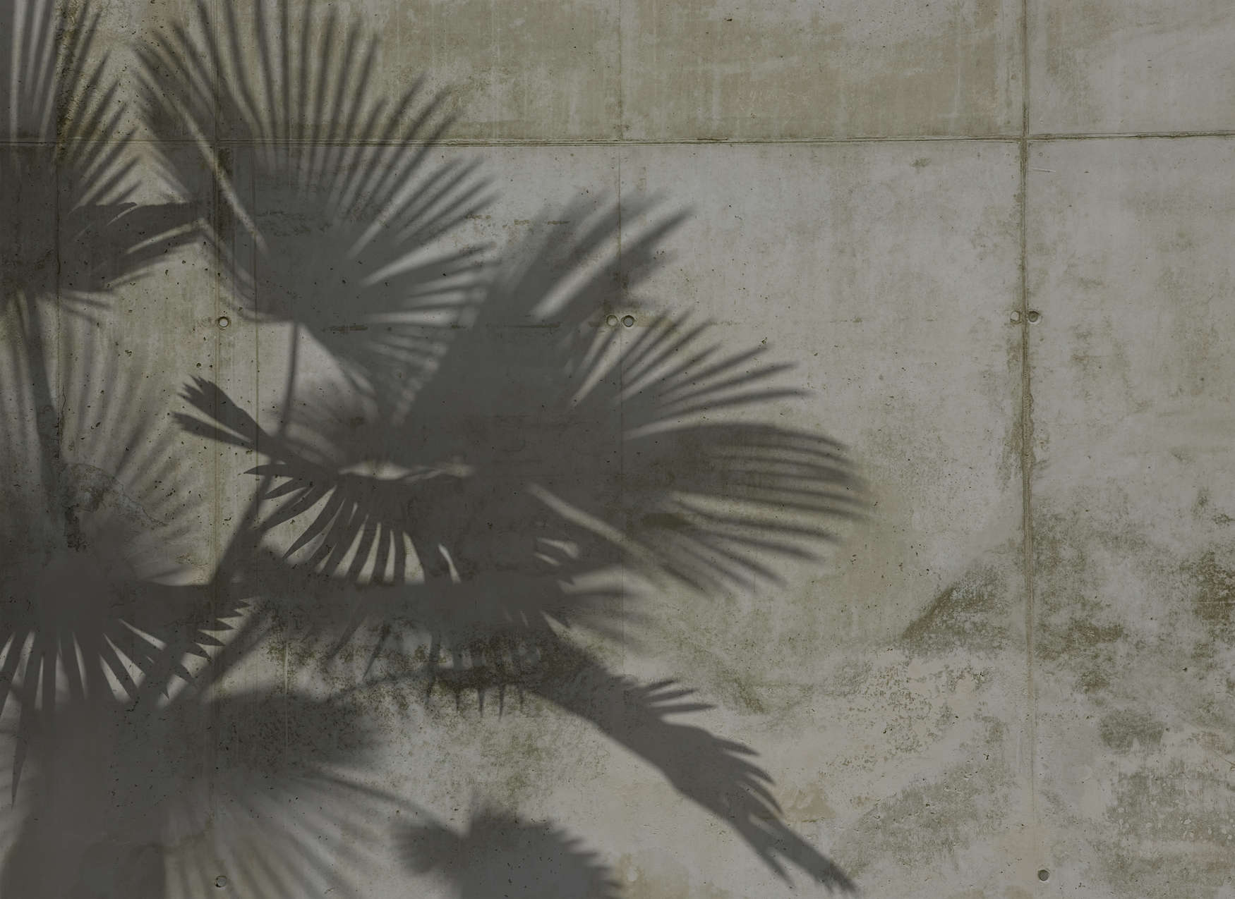             Digital behang Schaduwen van Palmbladeren op Betonnen Muur - Grijs
        