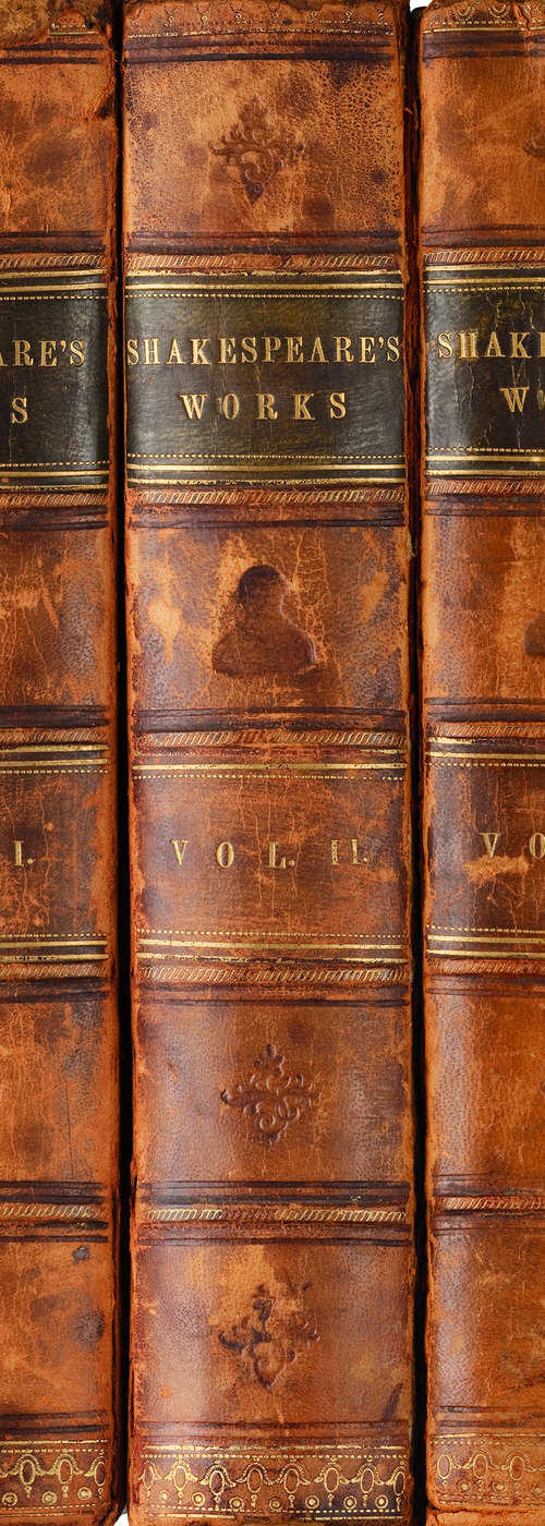             Modern boekrugbehang van de werken van Shakespeare op matte gladde vliesstof
        