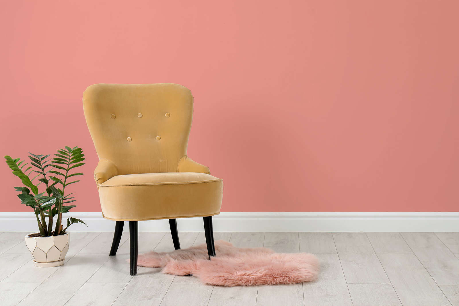             Wall Paint TCK7004 »Georgeous Grapefruit« in bright coral – 2.5 litre
        