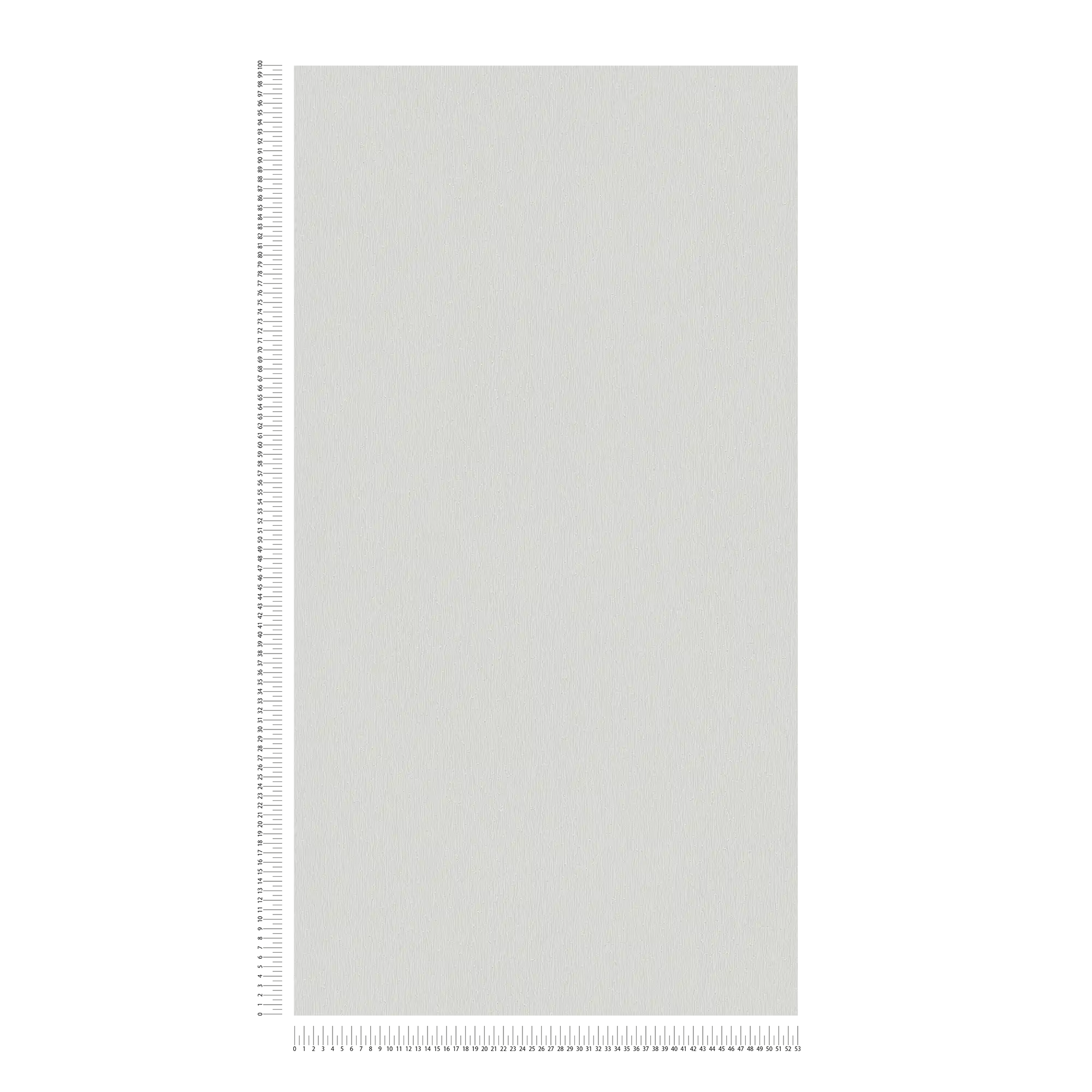             Carta da parati in tessuto non tessuto grigio chiaro con struttura monocromatica - Grigio
        