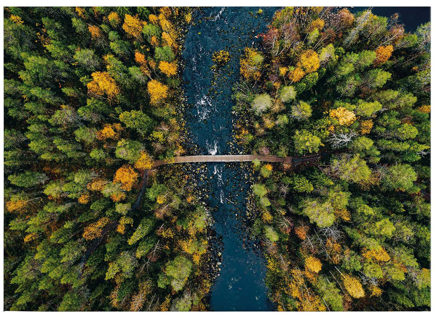             Quadro paesaggio su tela Foresta in Finlandia - 0,70 m x 0,50 m
        
