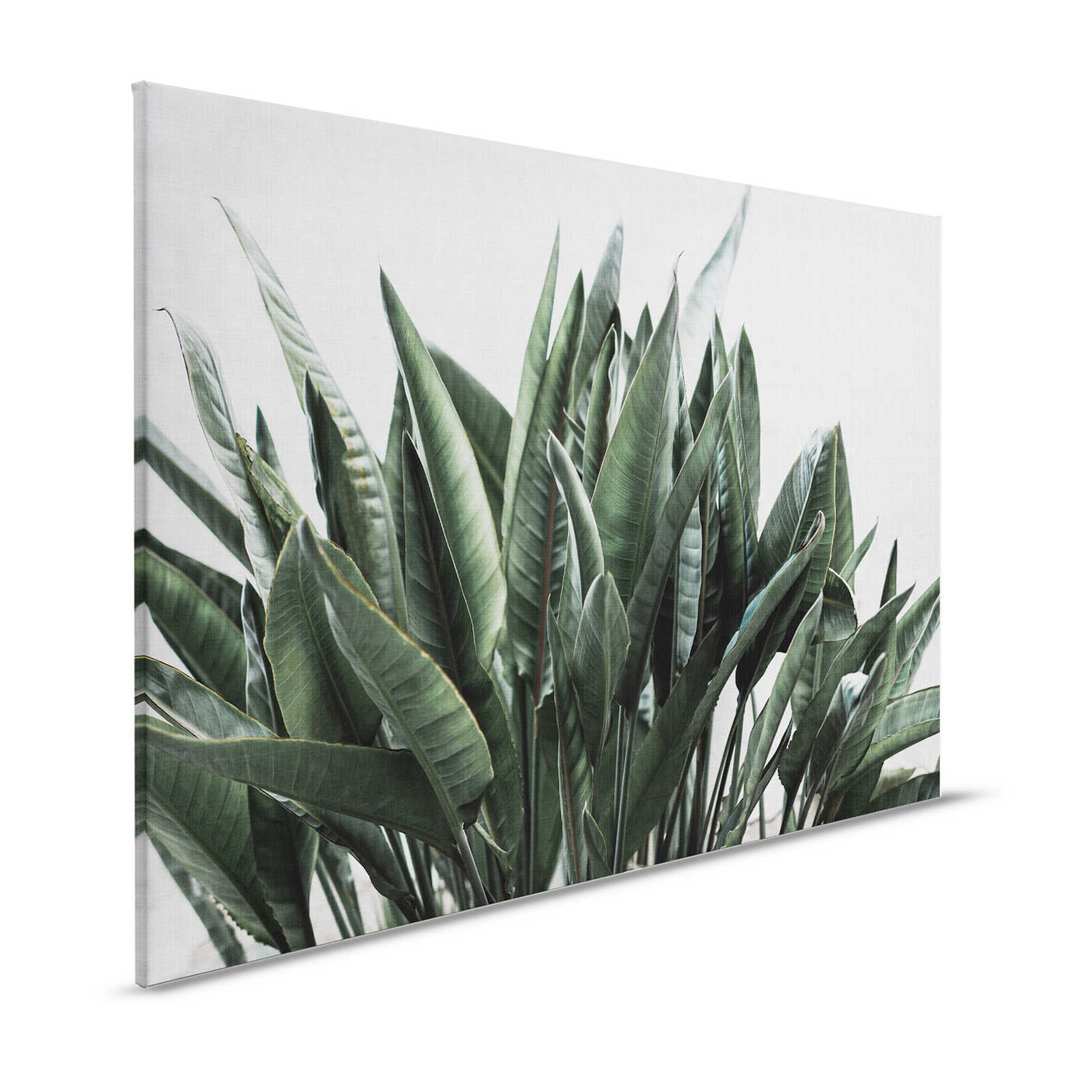 Urban jungle 2 - Palm leaves canvas picture, natural linen structure exotic plants - 1.20 m x 0.80 m
