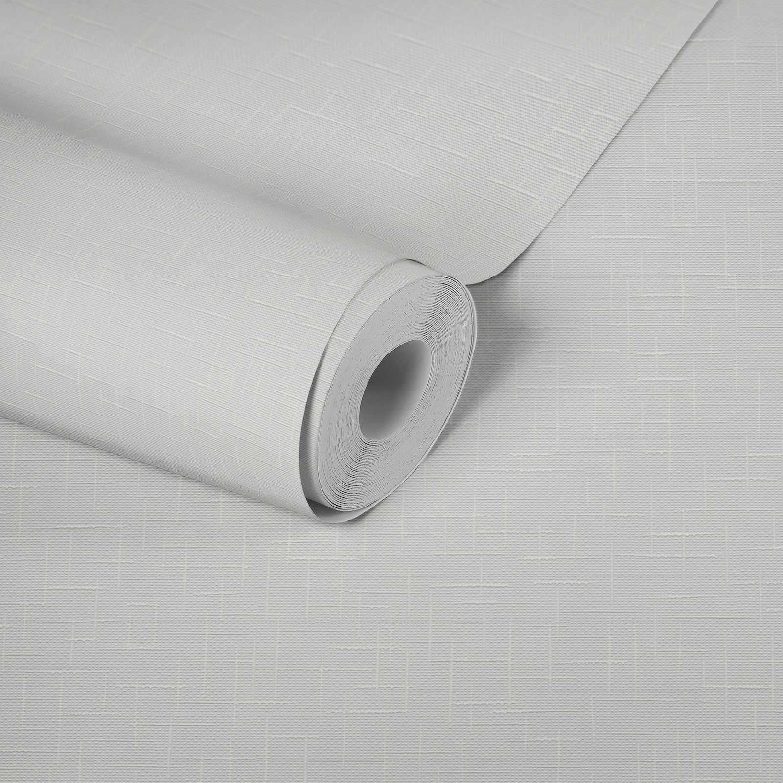             Paintable non-woven wallpaper with dotted structure - 25.00 m x 1.06 m
        