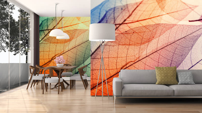             Photo wallpaper with leaf pattern X-ray - Orange, Blue, Colourful
        