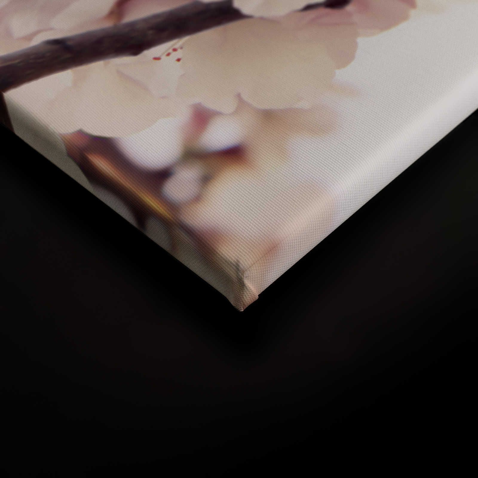             Pittura su tela con fiori di ciliegio - 0,90 m x 0,60 m
        