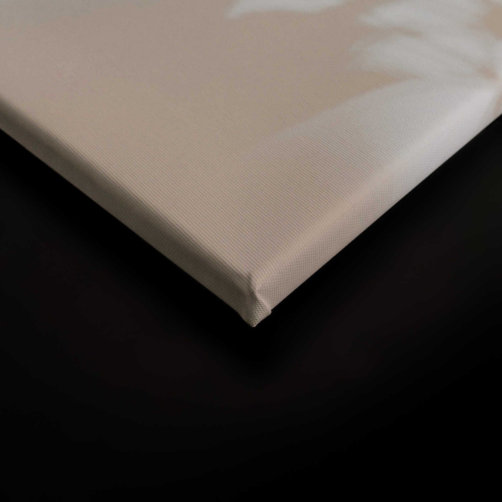             Camera d'ombra 1 - Tela naturale Beige e bianco, disegno sfumato - 0,90 m x 0,60 m
        