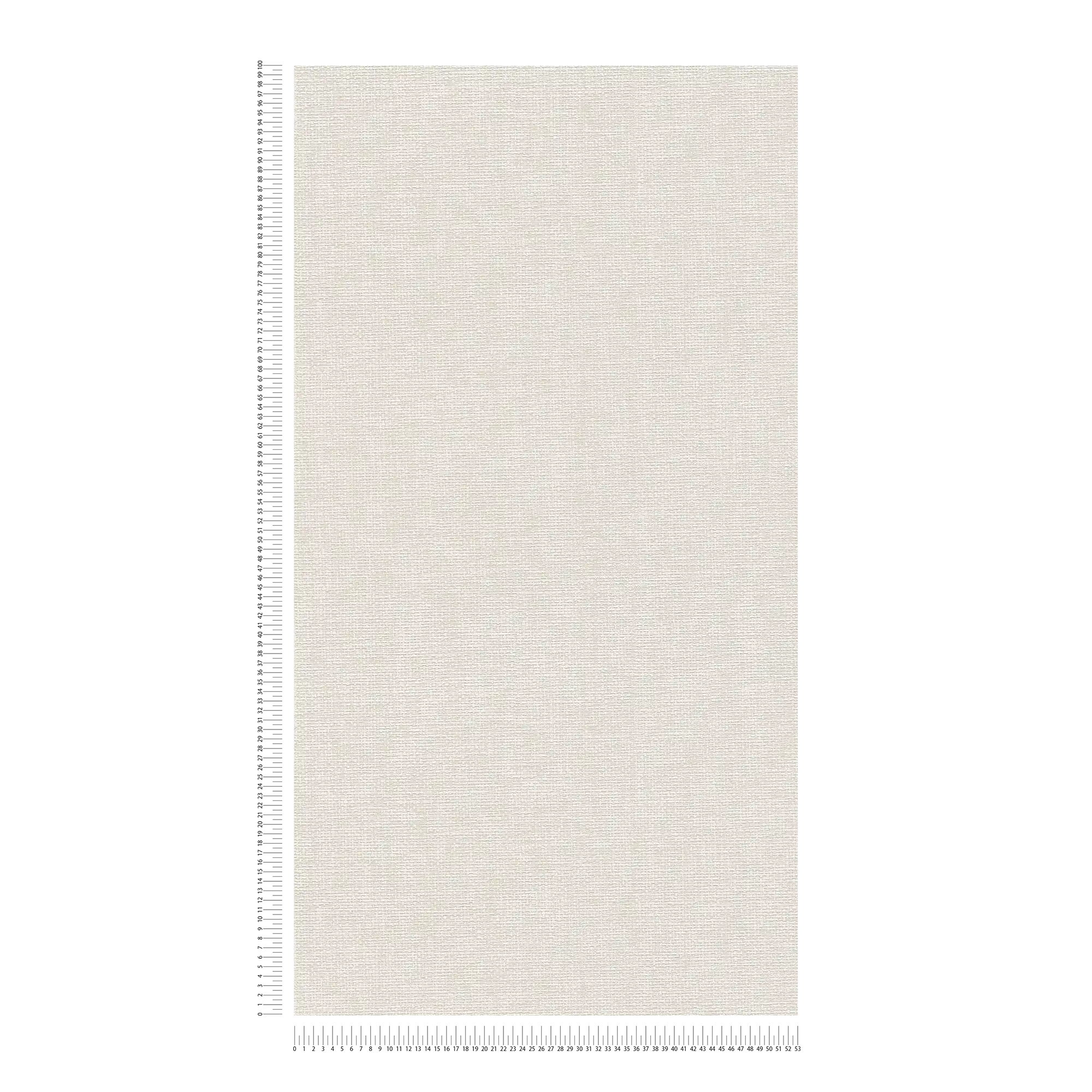             Carta da parati di design scandinavo effetto lino - grigio
        