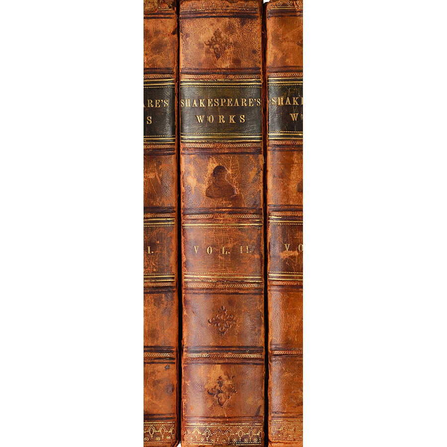         Modern mural book spine of Shakespeare's works on matte smooth nonwoven
    