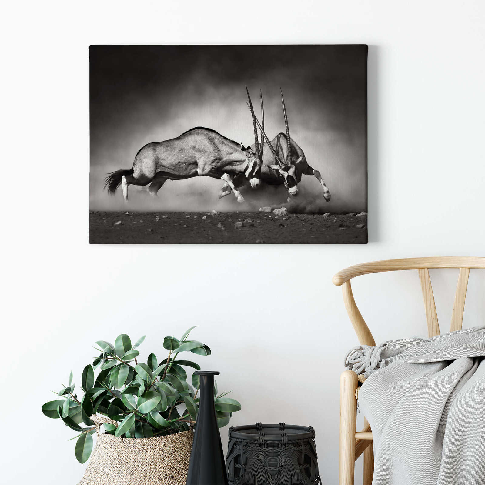             Animal canvas print duel in the steppe – black and white
        