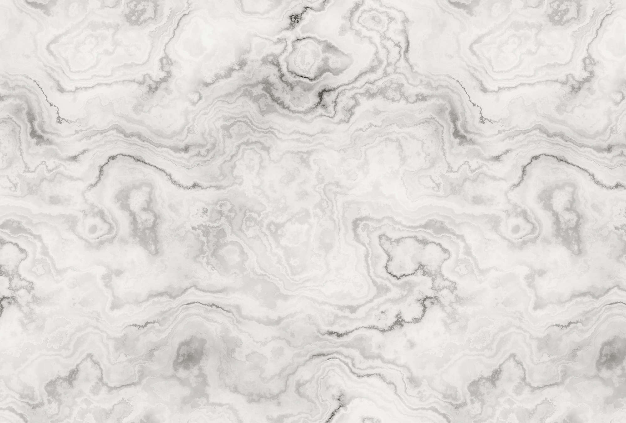             Carrara 1 - Elegante carta da parati effetto marmo - Grigio, Bianco | Vello liscio opaco
        
