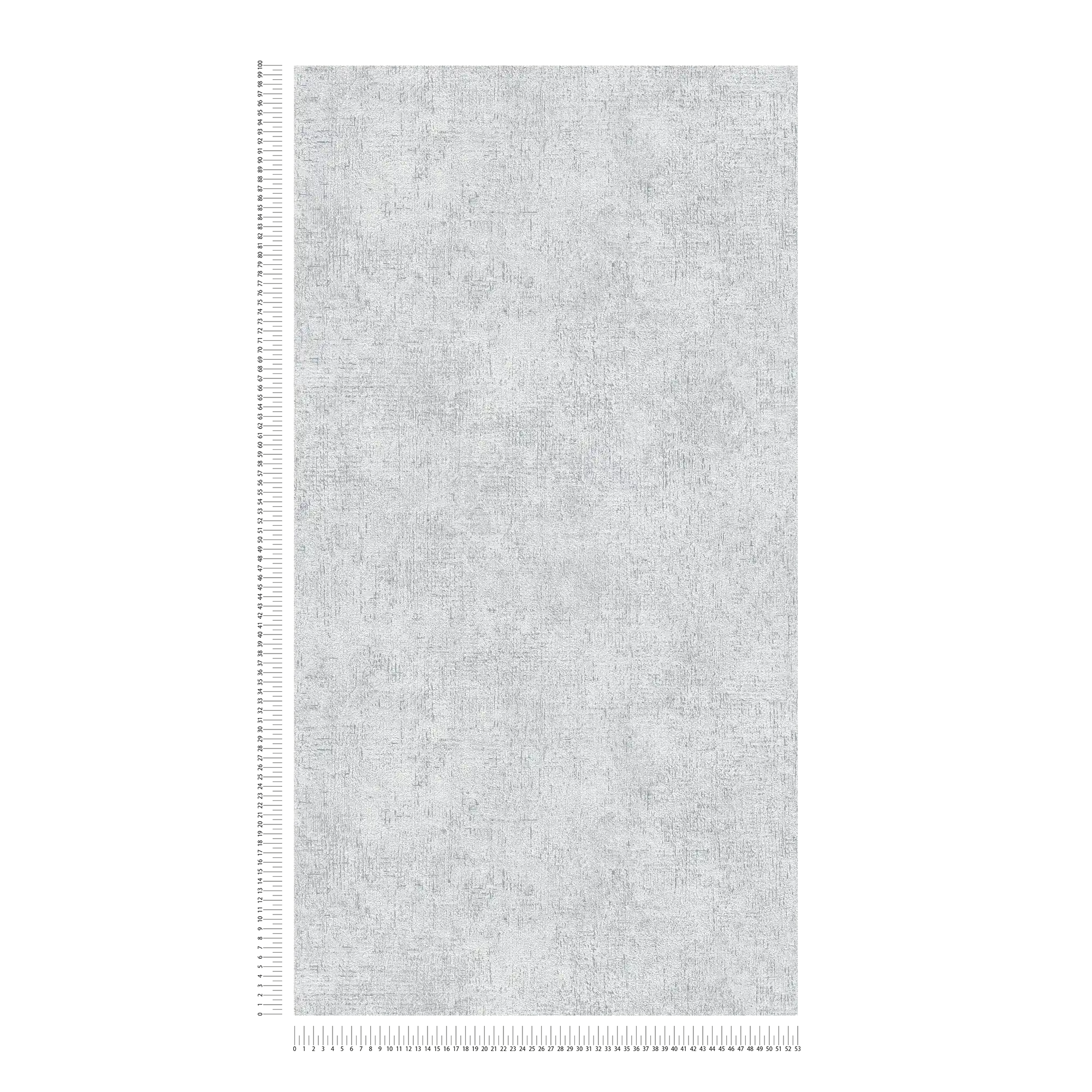            Carta da parati in tessuto non tessuto struttura rustica in gesso - grigio
        