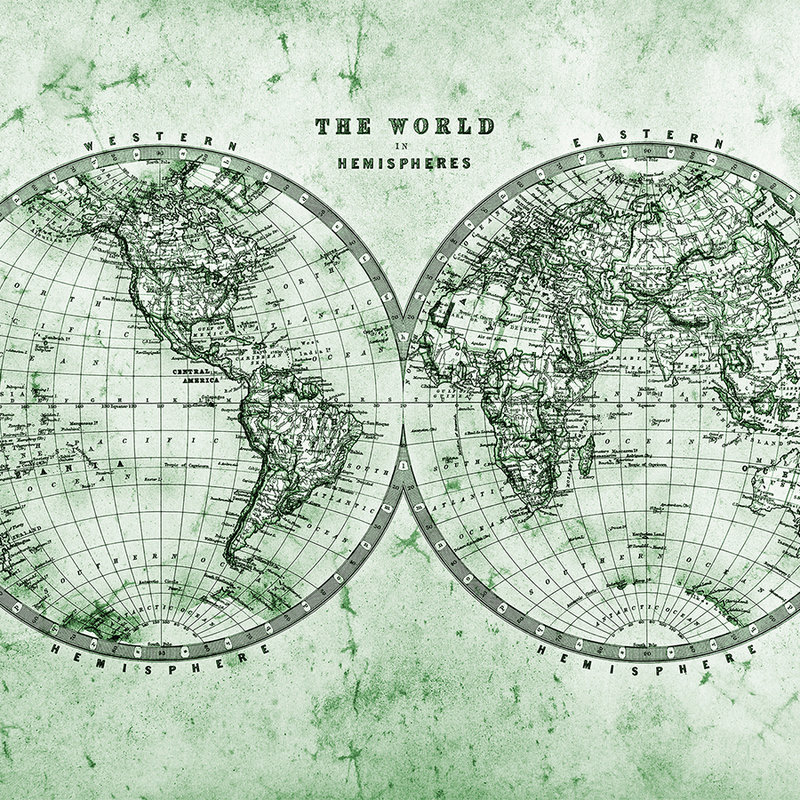         Vintage World Map in Hemispheres - Green, Grey, White
    