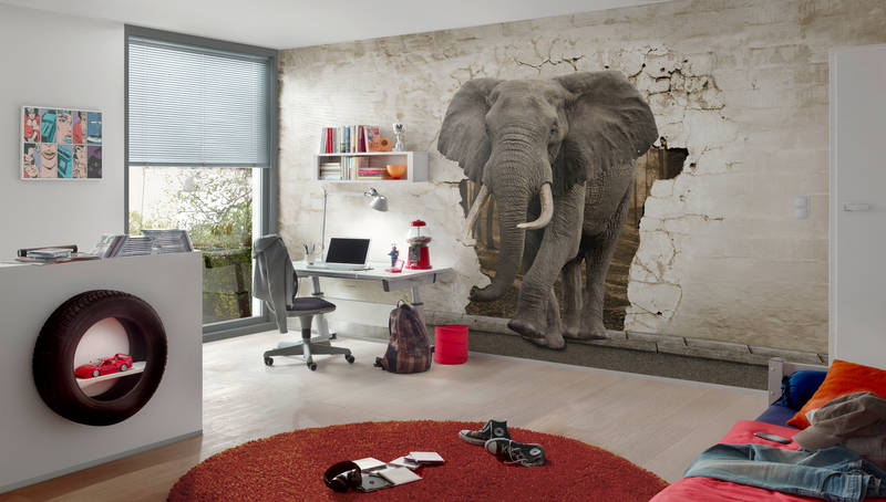             Motivo animale murale elefante nel muro su vello liscio madreperlato
        