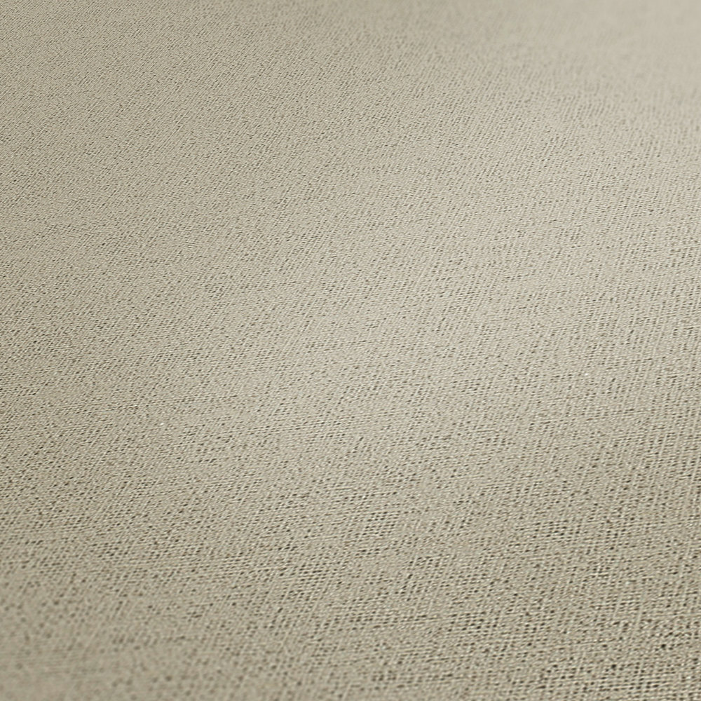             Papier peint aspect lin Beige avec structure textile chinée
        