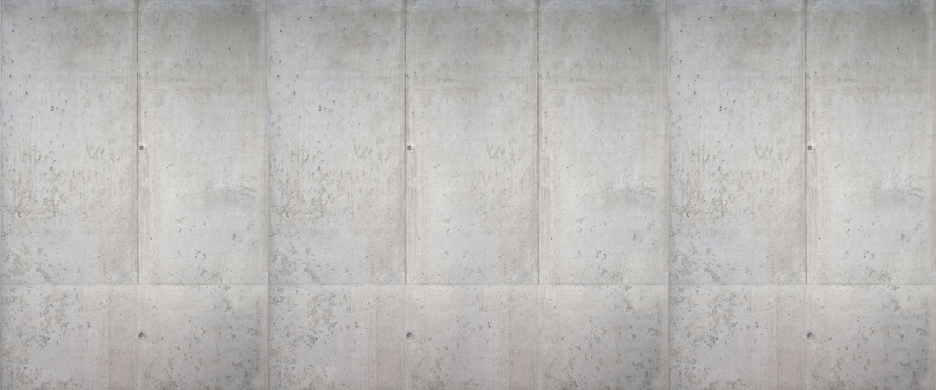             Papier peint panoramique béton Mur en béton apparent de style industriel
        