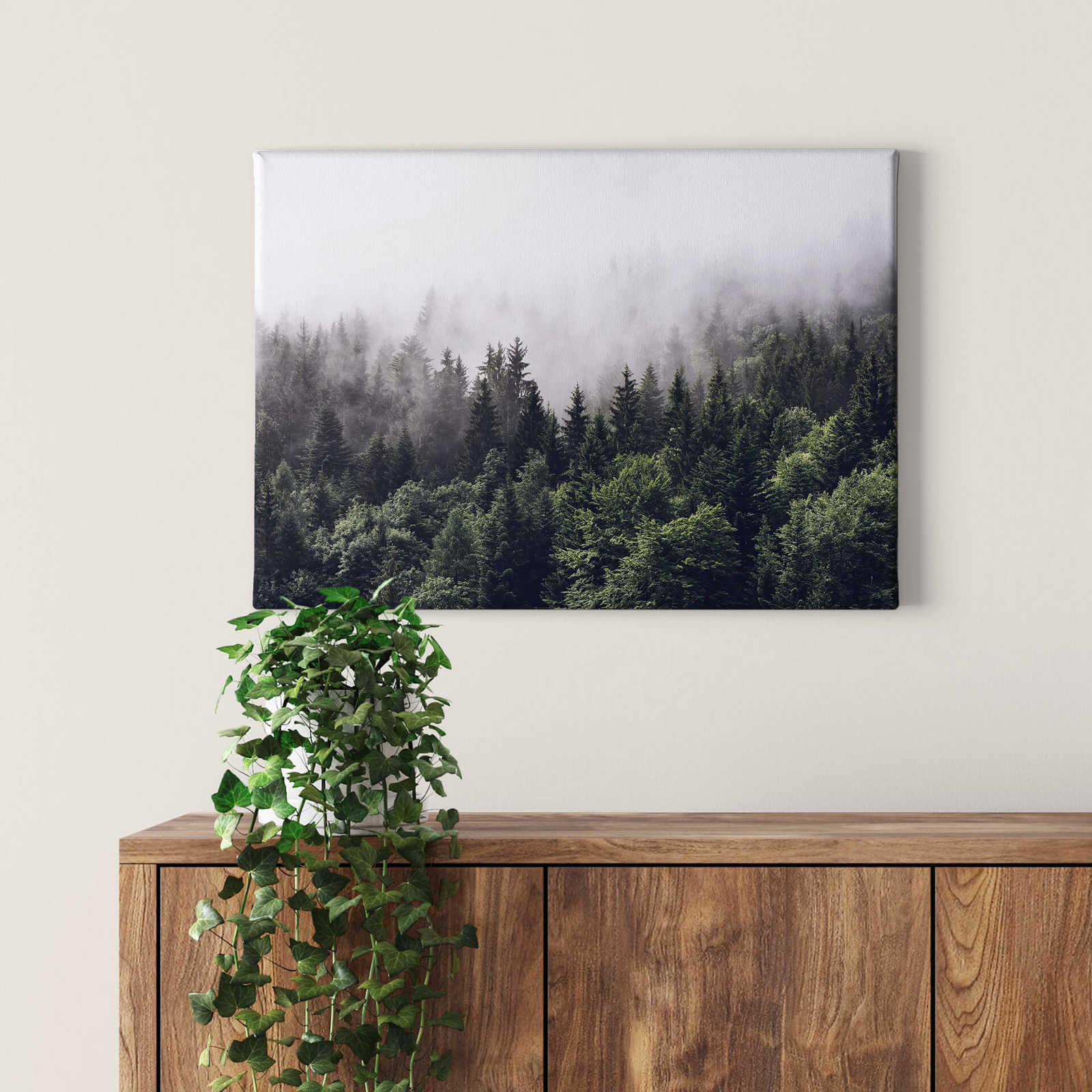             Canvas print forest in the morning mist – green
        