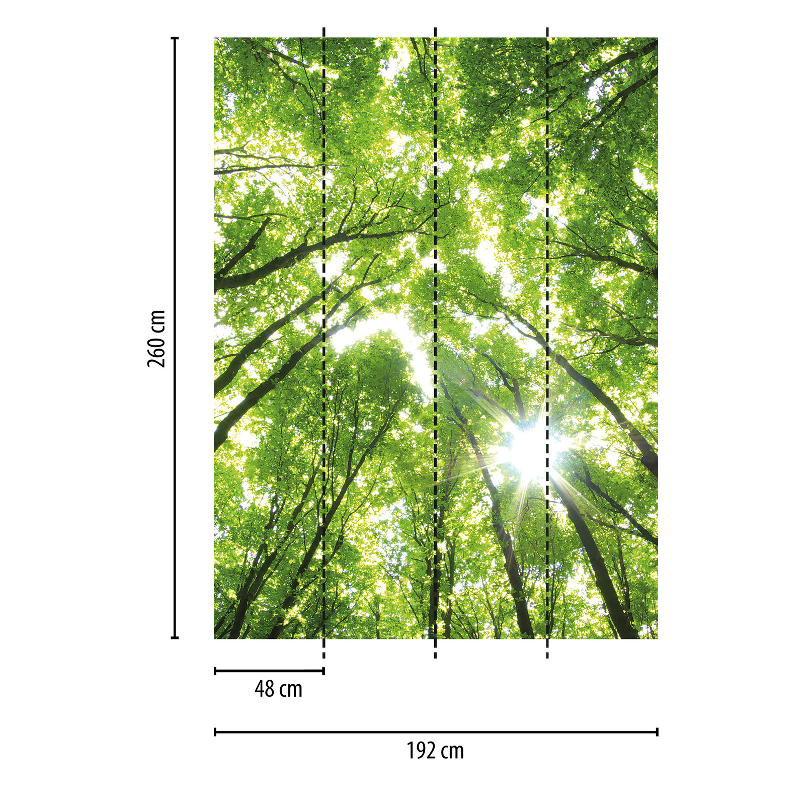             Fotomuralis rotondo foresta nebbiosa - Verde, Marrone, Bianco
        