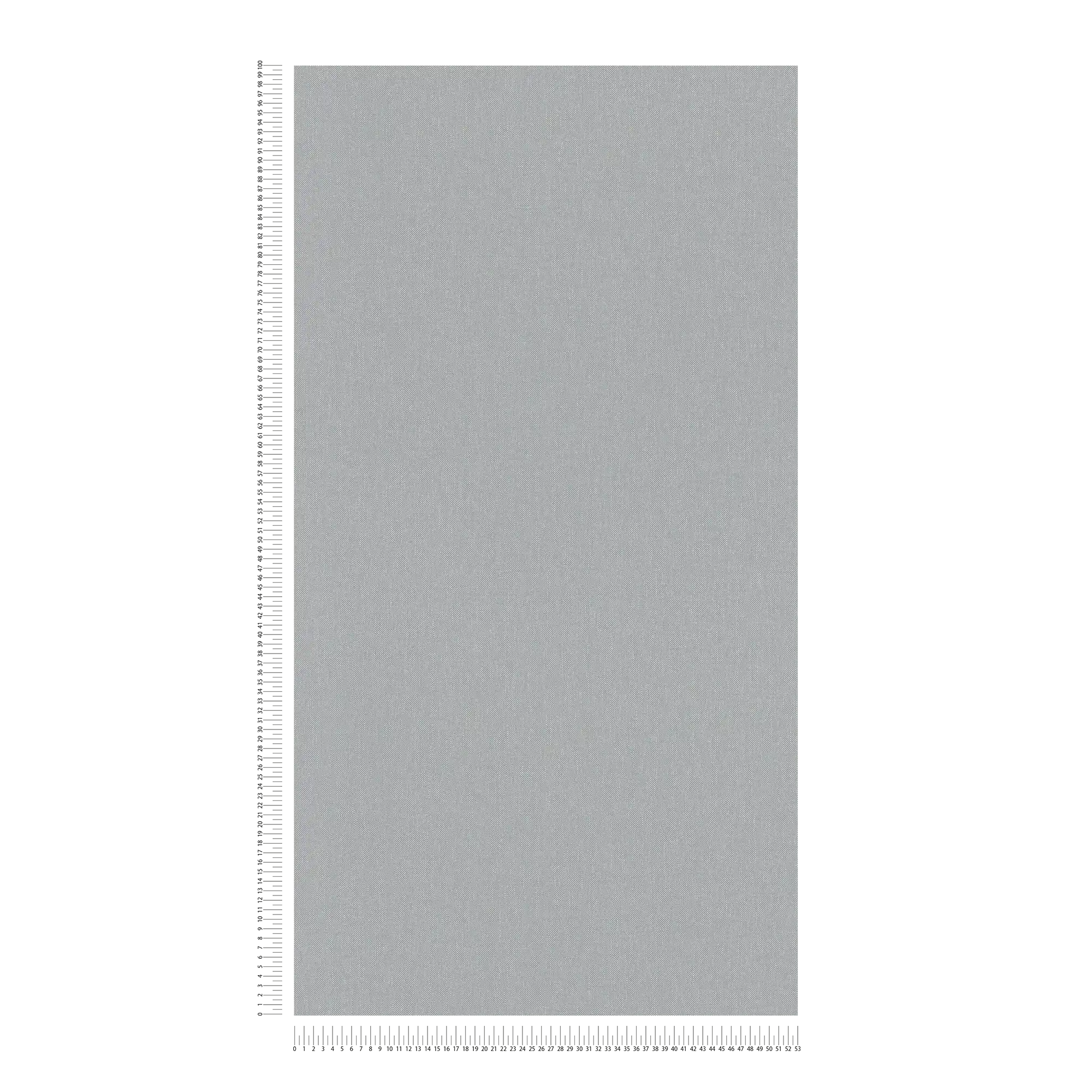             Carta da parati in lino grigio con disegno a struttura in stile country
        