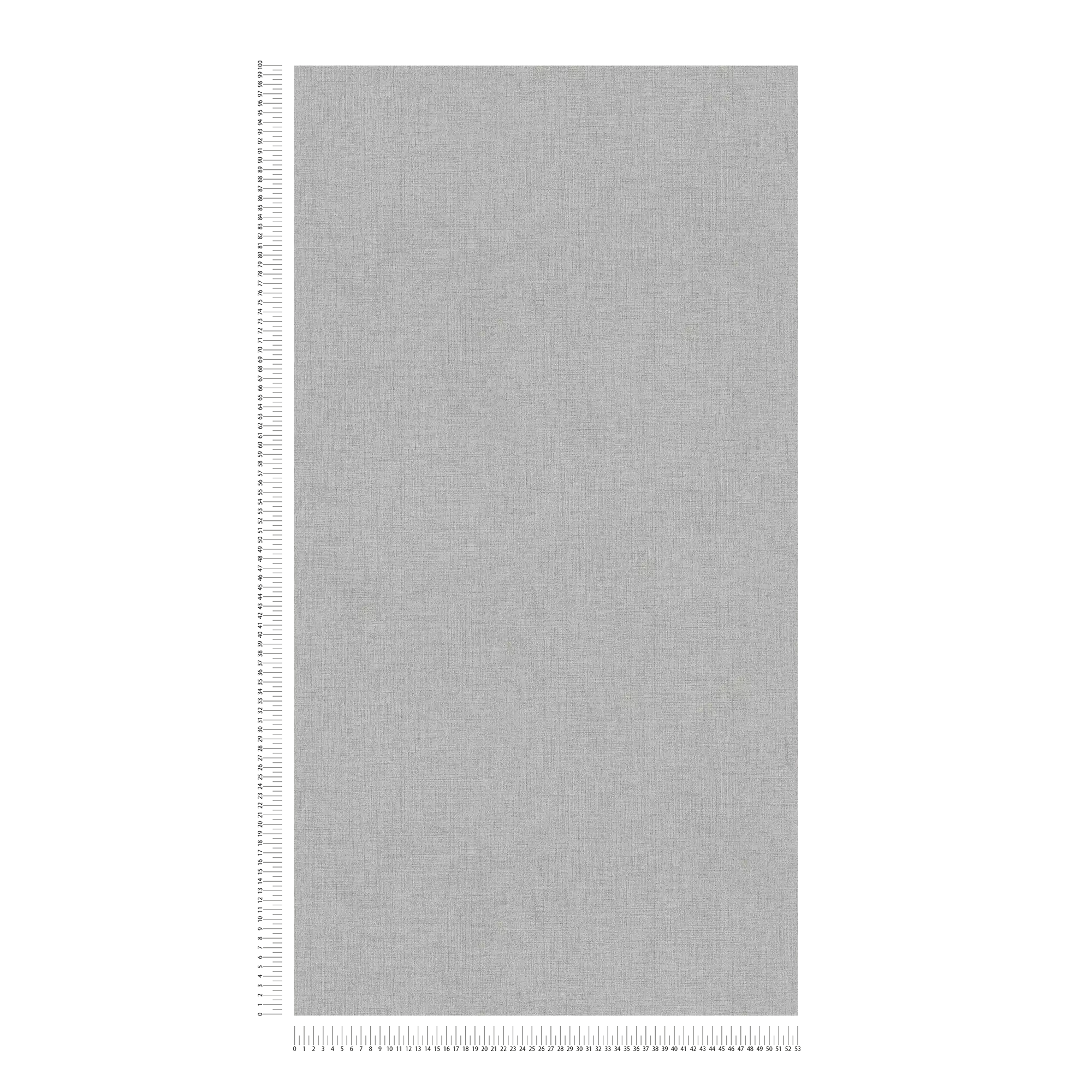             Carta da parati unitaria con sottile effetto lino - grigio
        