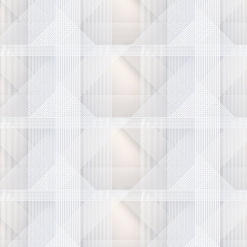 Strings 1 - Digital behang geometrisch streeppatroon - Grijs, Oranje | Premium glad fleece
