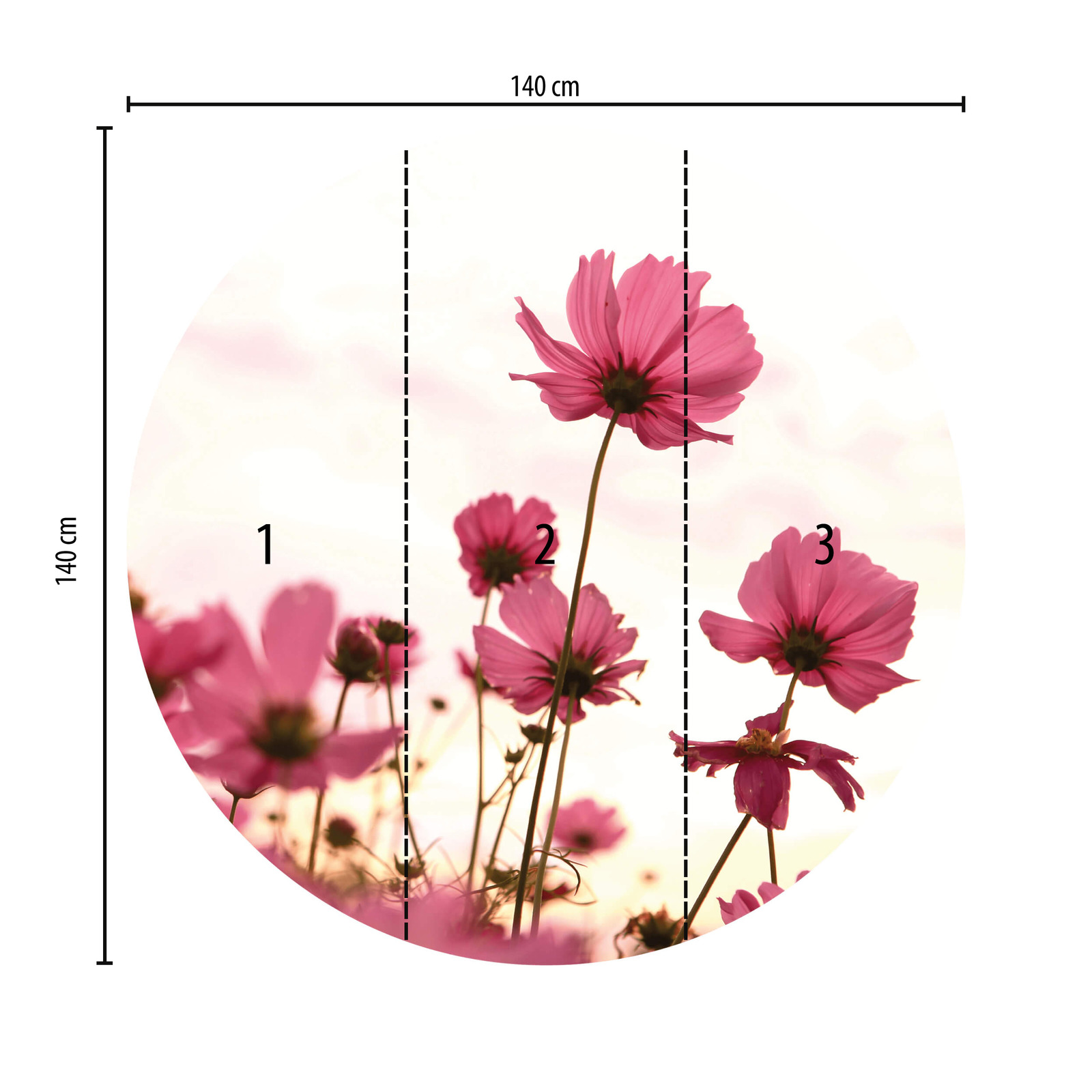             Round mural pink cosmos on the field
        