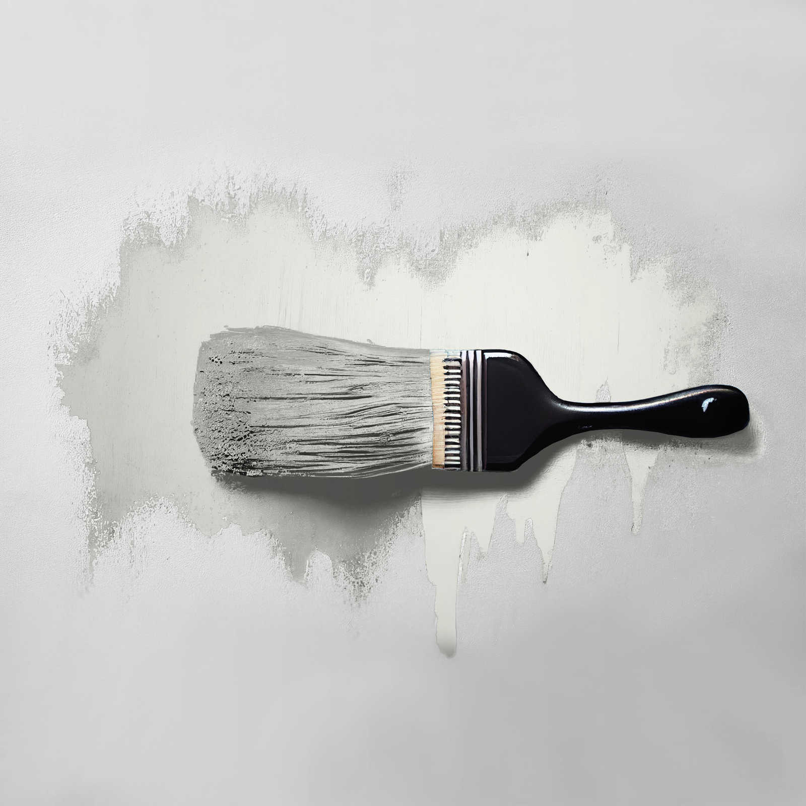             Pintura mural TCK1008 »Shady Sugar« en blanco cálido – 2,5 litro
        