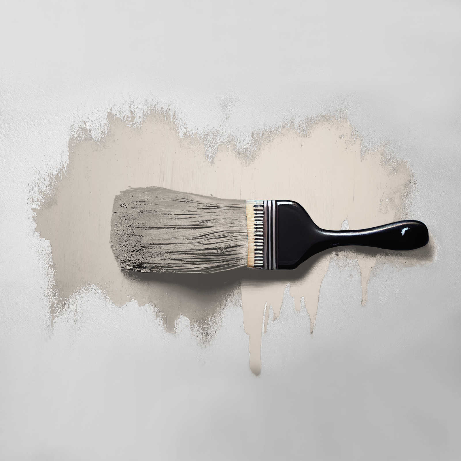             Pittura murale TCK6018 »Pure Potato« in beige chiaro casalingo – 2,5 litri
        